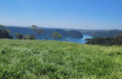 Fazenda para venda em Timburi